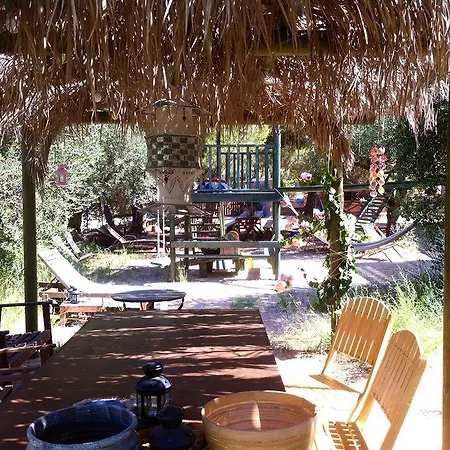 Holiday home Alegria Complex Vasilikos (Zakynthos)