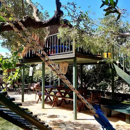 Alegria Complex * Vasilikos (Zakynthos)