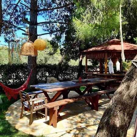 Alegria Complex