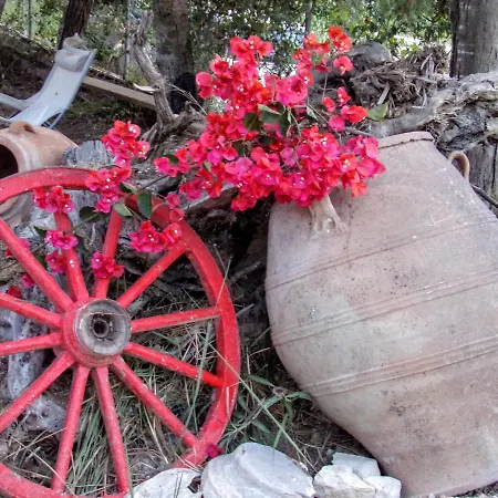 Holiday home Alegria Complex Vasilikos (Zakynthos)