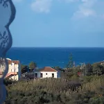 Holiday home Alegria Complex Vasilikos (Zakynthos)