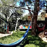 Alegria Complex